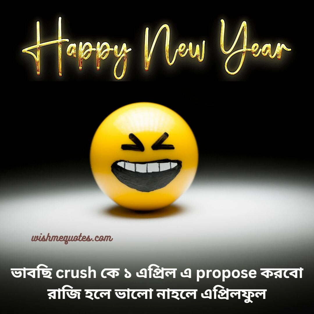 Happy New Year Wishes Funny Jokes 