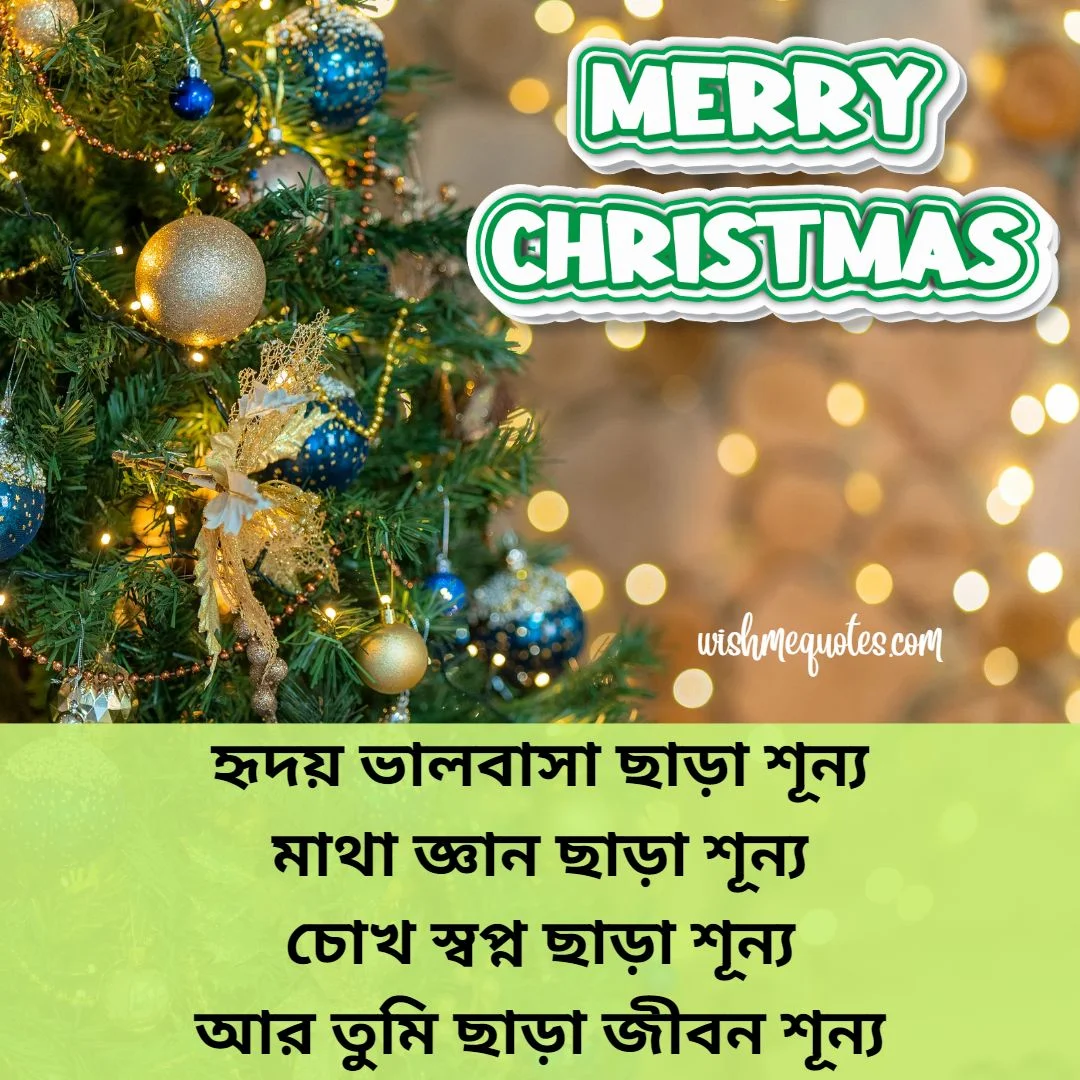  Christmas Wishes for Wife In Bengali 