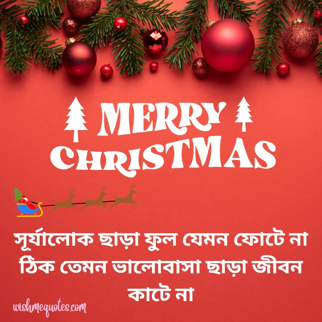 Merry Christmas Text for Boyfriend In Bengali