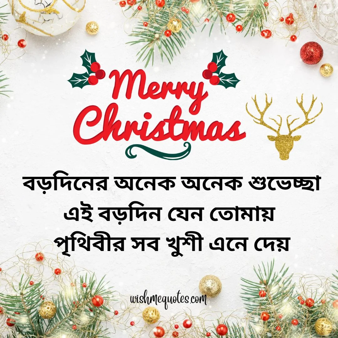 Happy Merry Christmas Wishes Greetings In Bengali