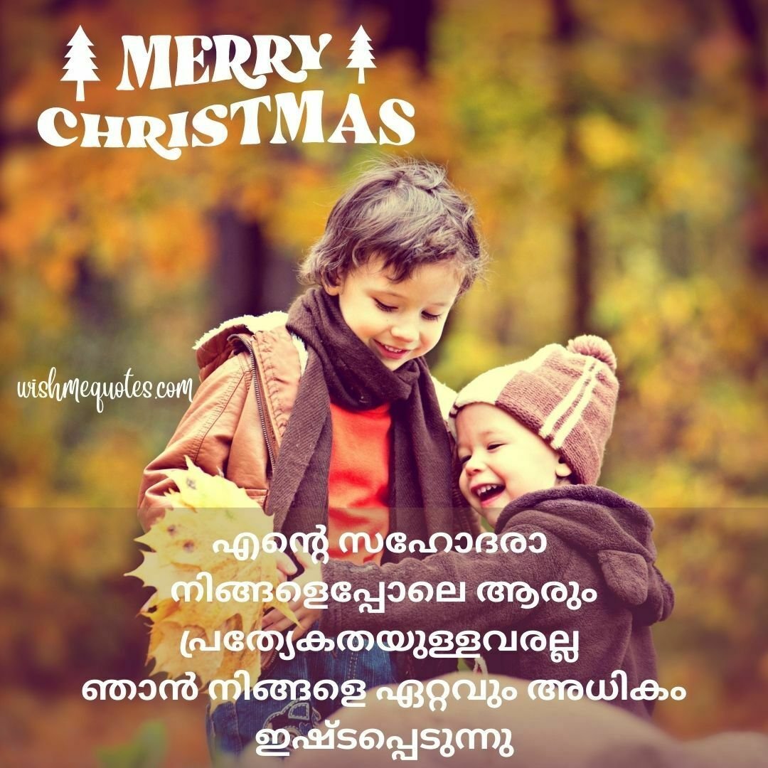 Happy Merry Christmas Wishes for Brother in Malayalam