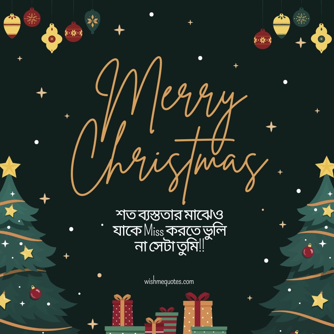 Merry Christmas Wishes In Bengali for Wife