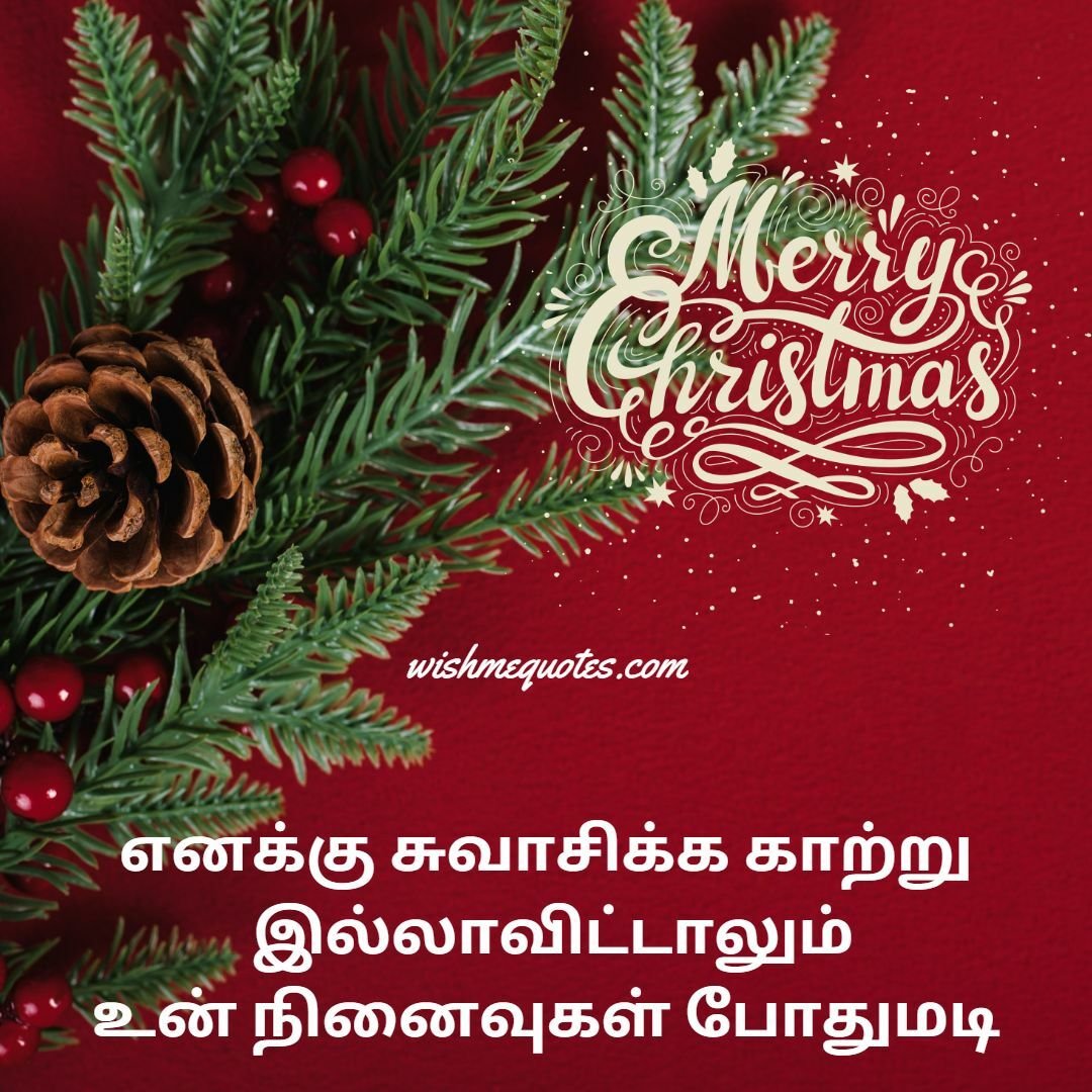Merry Christmas Wishes  for Girlfriend
