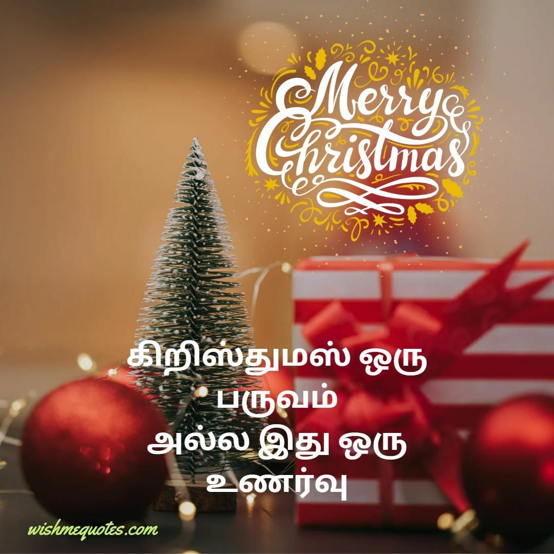 Happy Merry Christmas Wishes in Tamil Messages