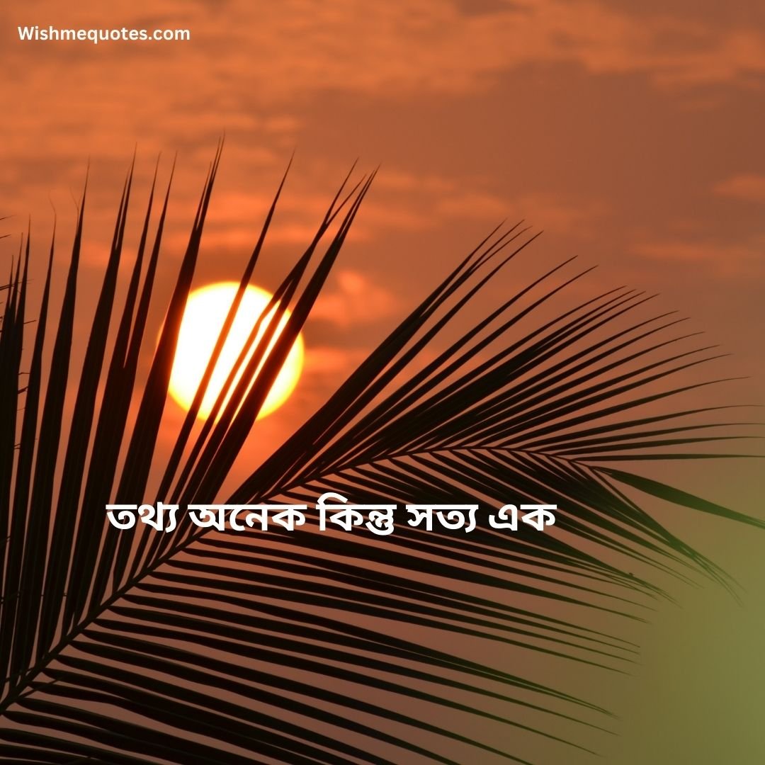Motivational bengali quotes Image