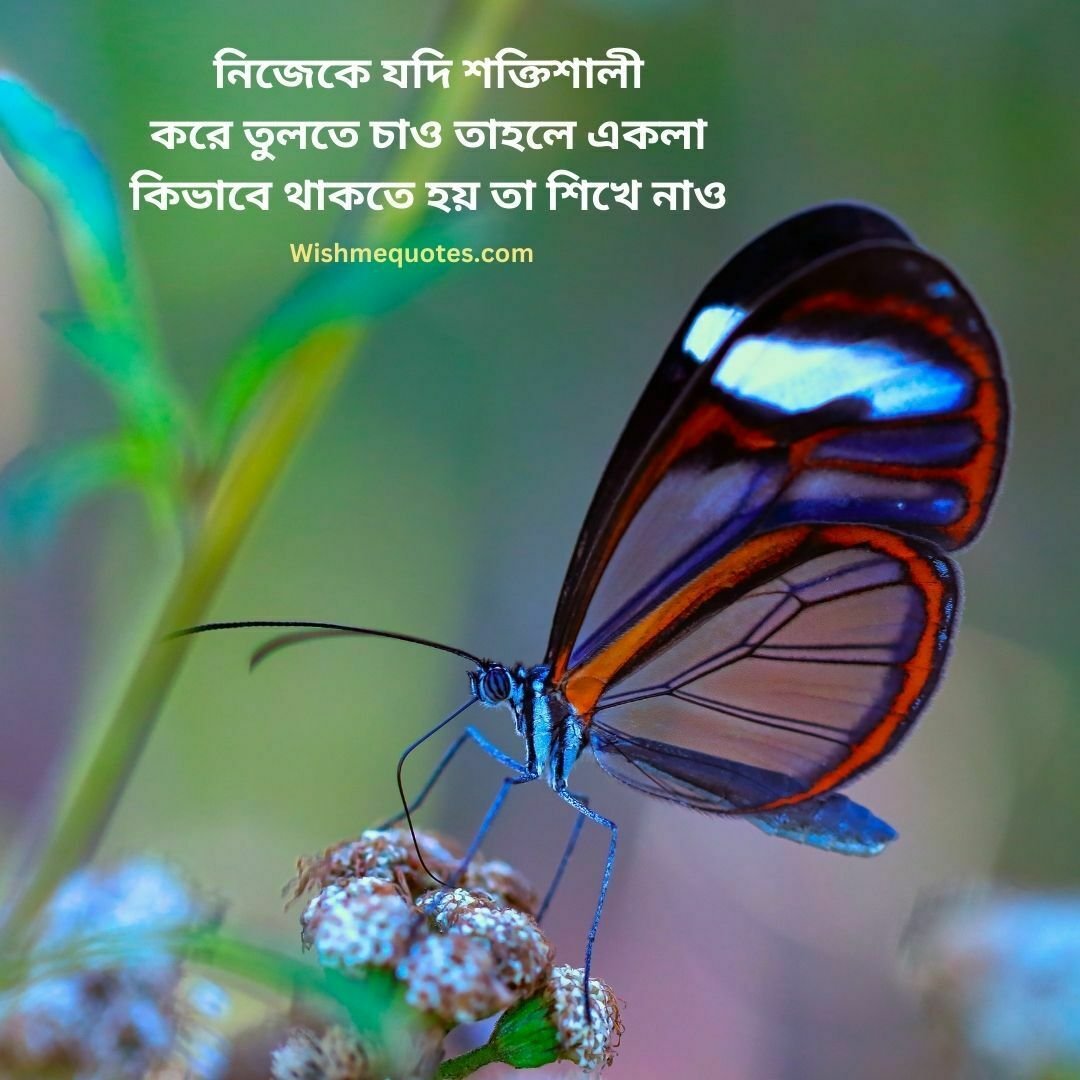 Motivational Quotes in Bangla by Famous Peoples