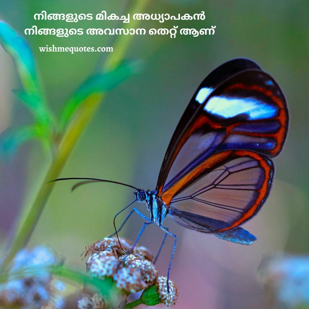 Positive Malayalam Motivational Quotes