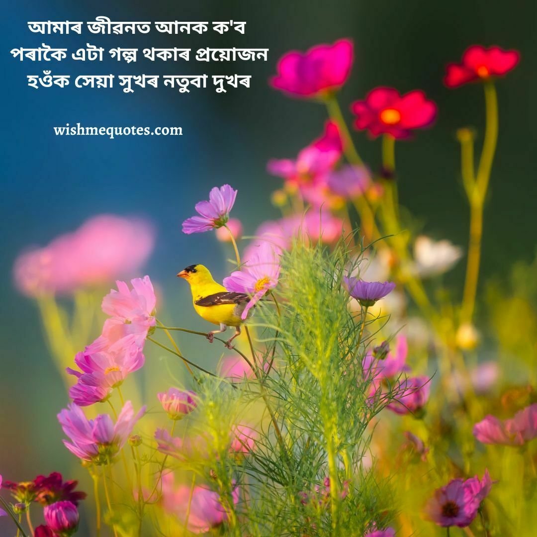 Motivational Quotes In Assamese
