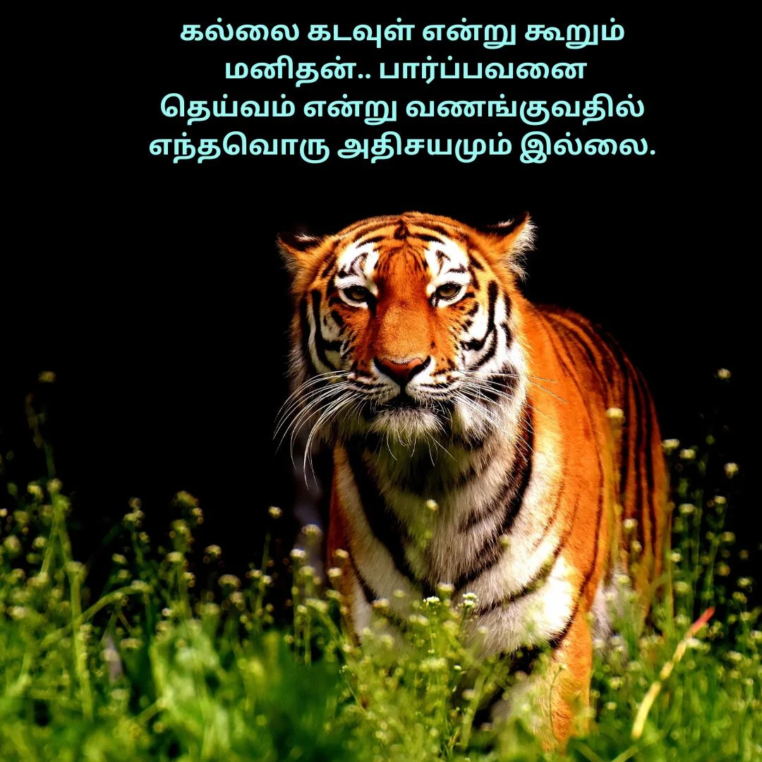 Inspirational Periyar Quotes Tamil