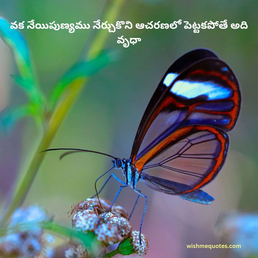 Motivational Bible Quotes In Telugu