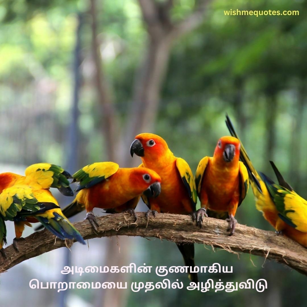 Strong Positivity Motivational Quotes in Tamil