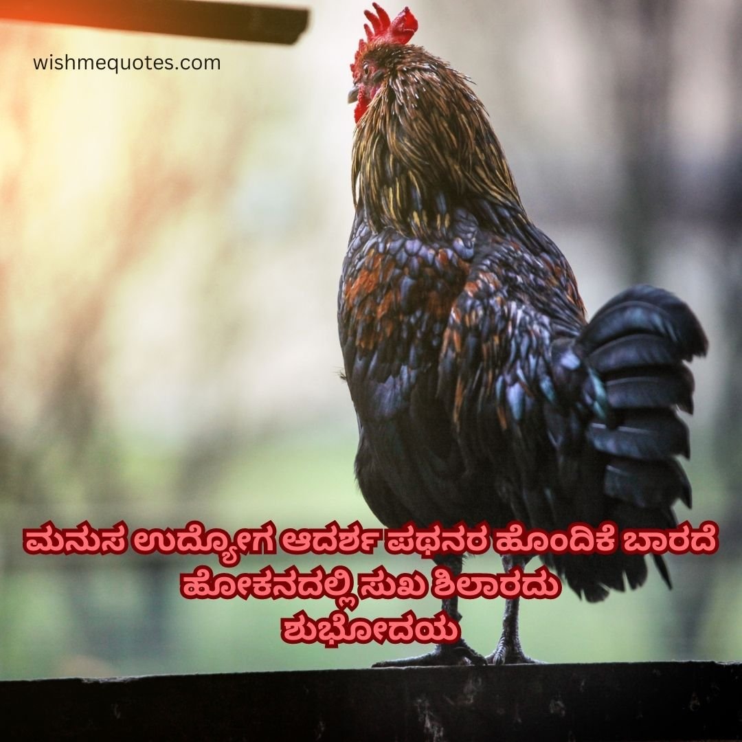 Kavanagalu Good Morning Quotes in Kannada