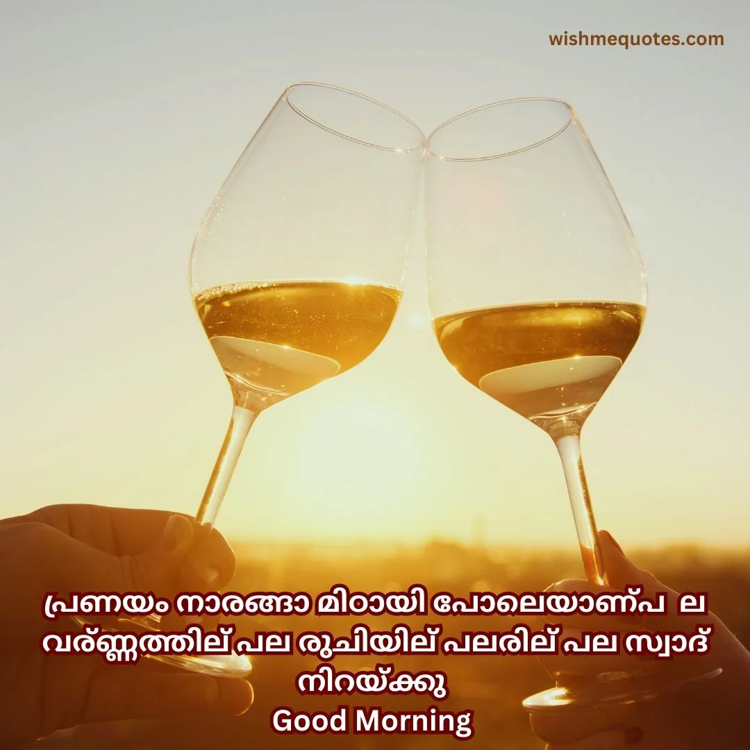 Romantic Good Morning Quotes  Malayalam