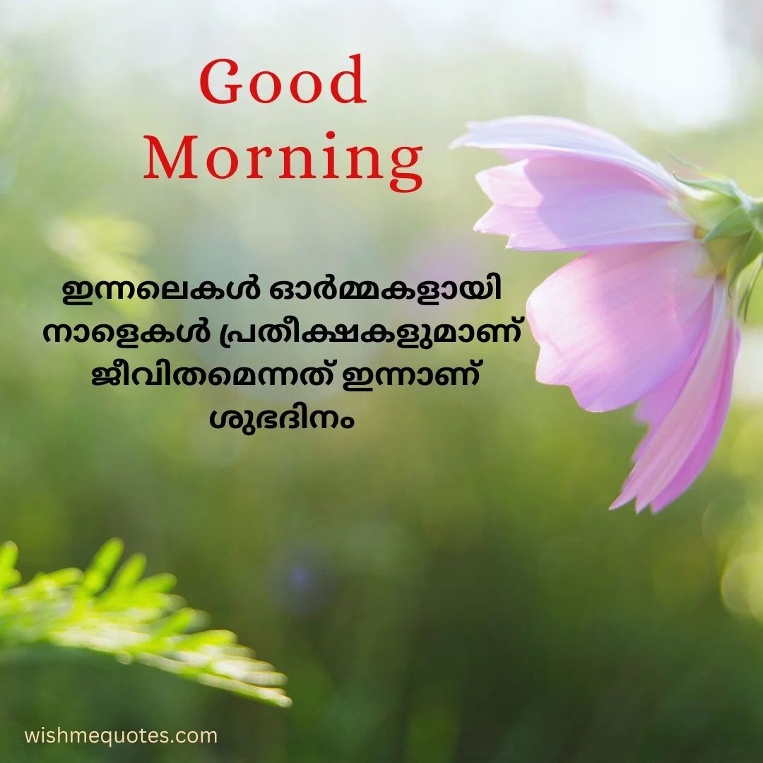 Good Morning Quotes In Malayalam