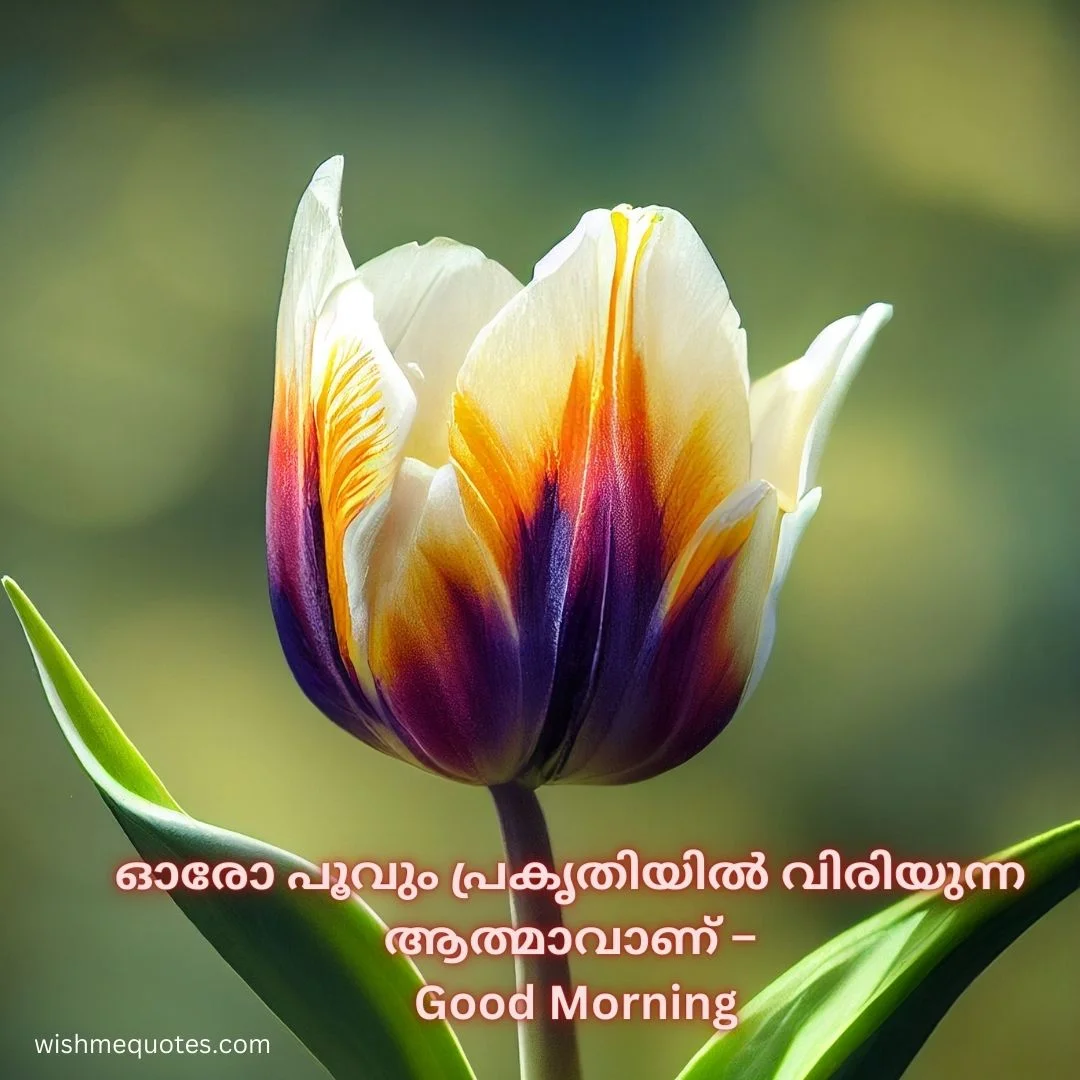 Positive Good Morning Quotes in Malayalam