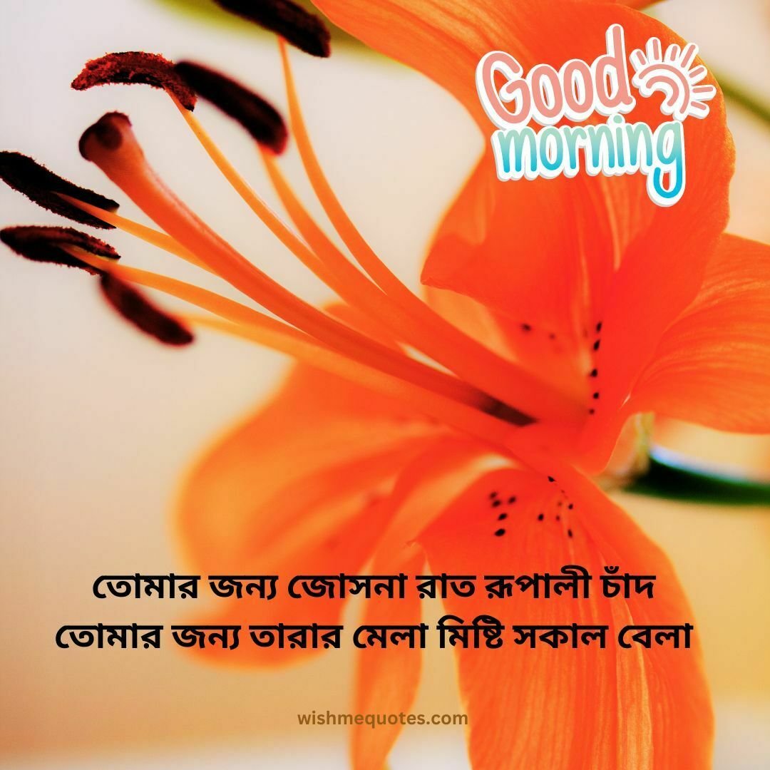 Whatsapp Good Morning Message In Bengali
