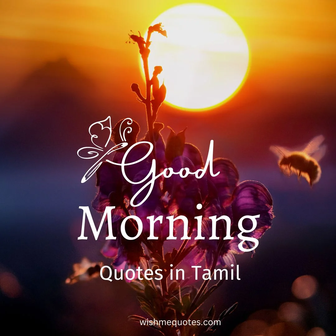 91 + Beautiful Good Morning Quotes In Tamil 2023