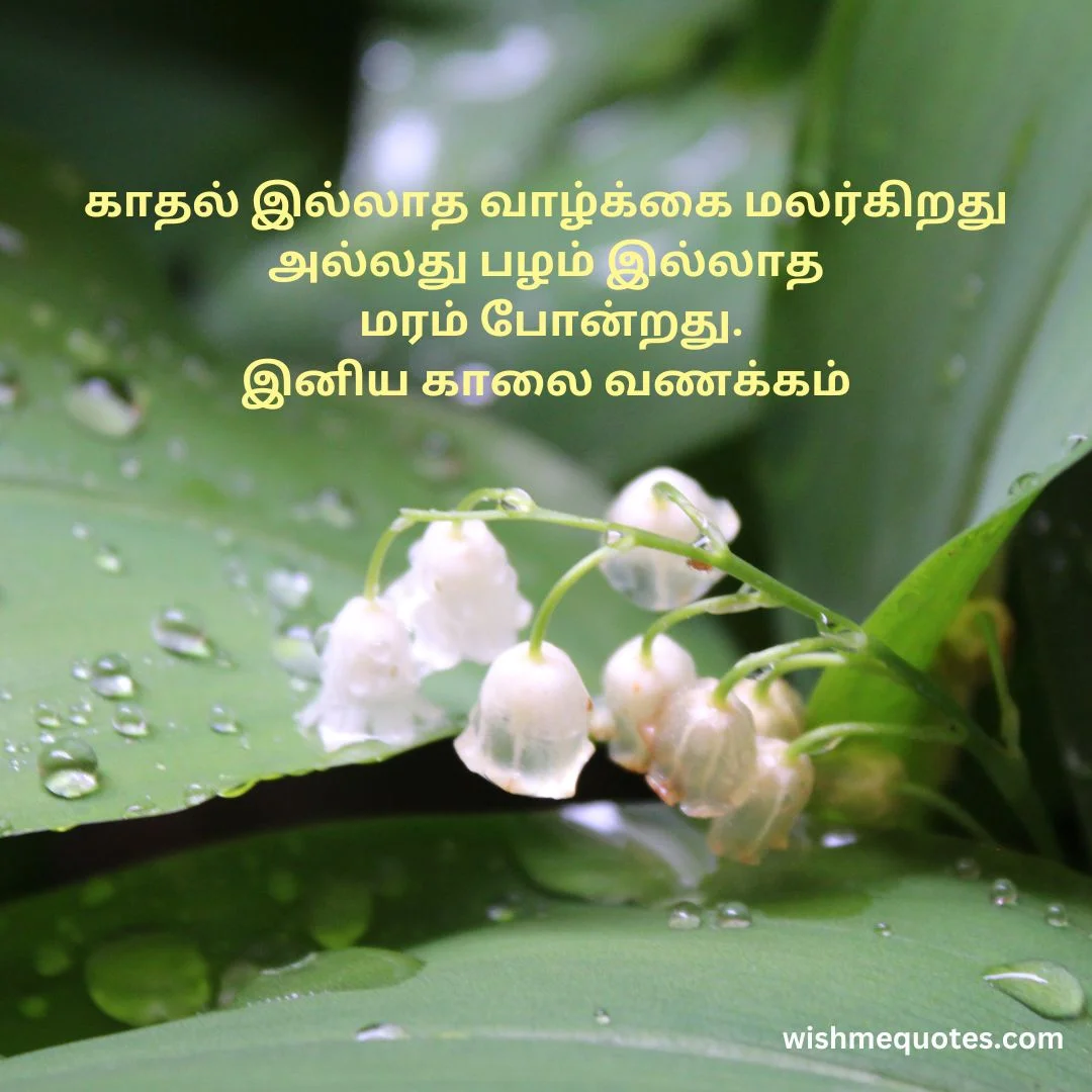 Good Morning Motivational Quotes In Tamil