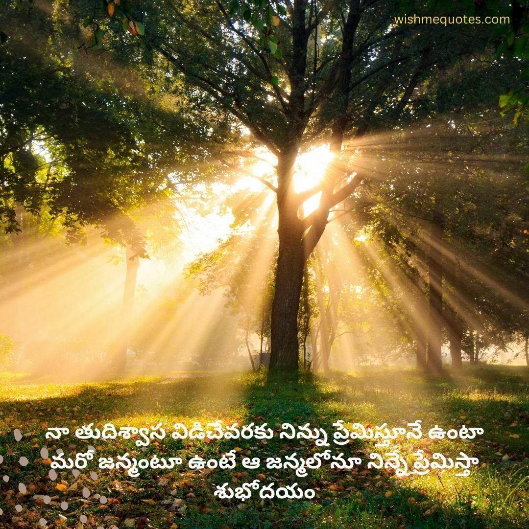 Telugu Quotes Good Morning