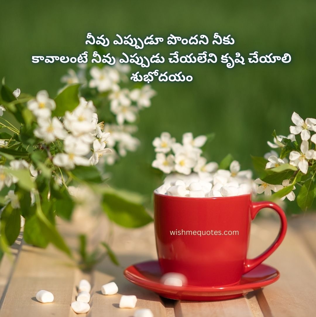 Good Morning Bible Quotes In Telugu