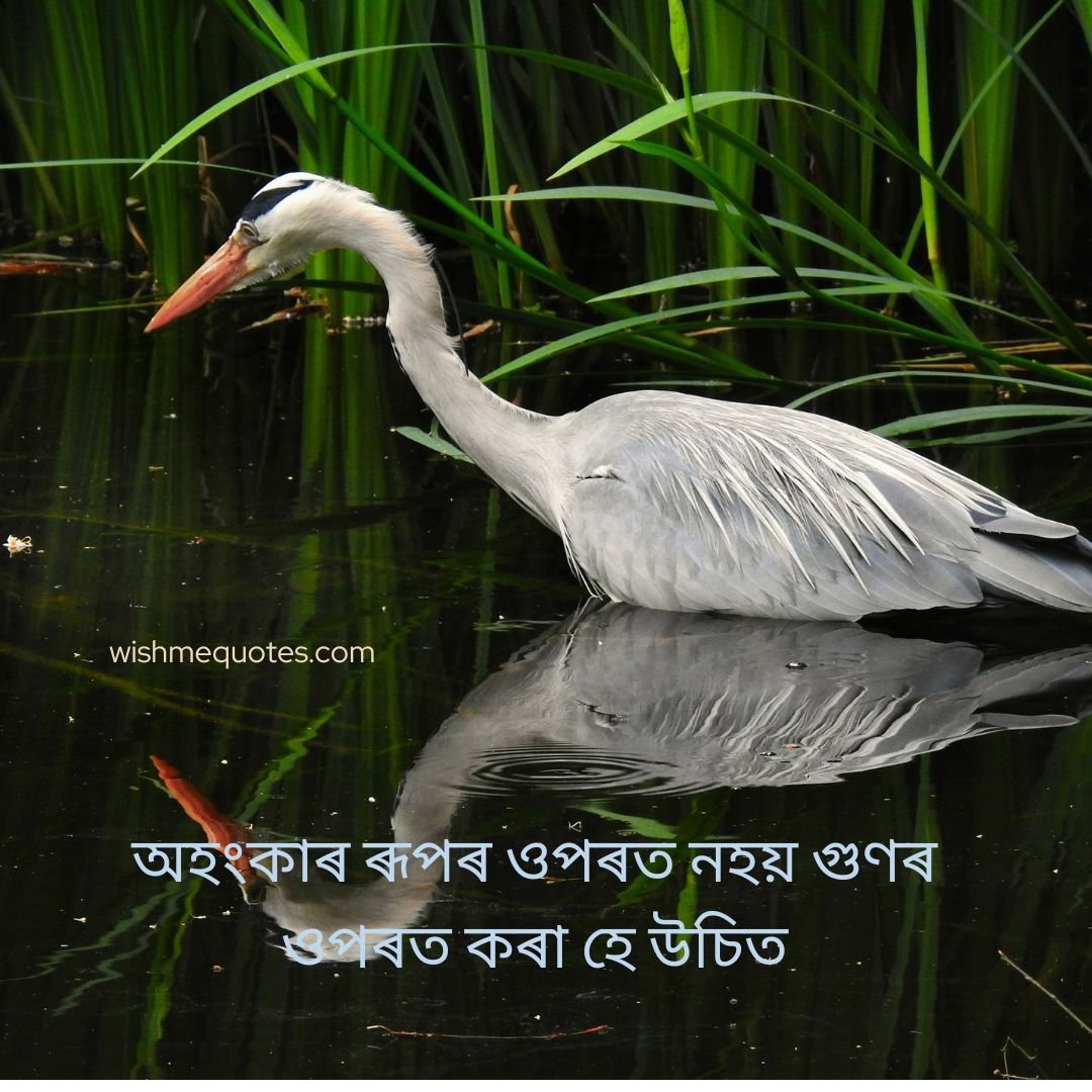 Assamese Sad Caption