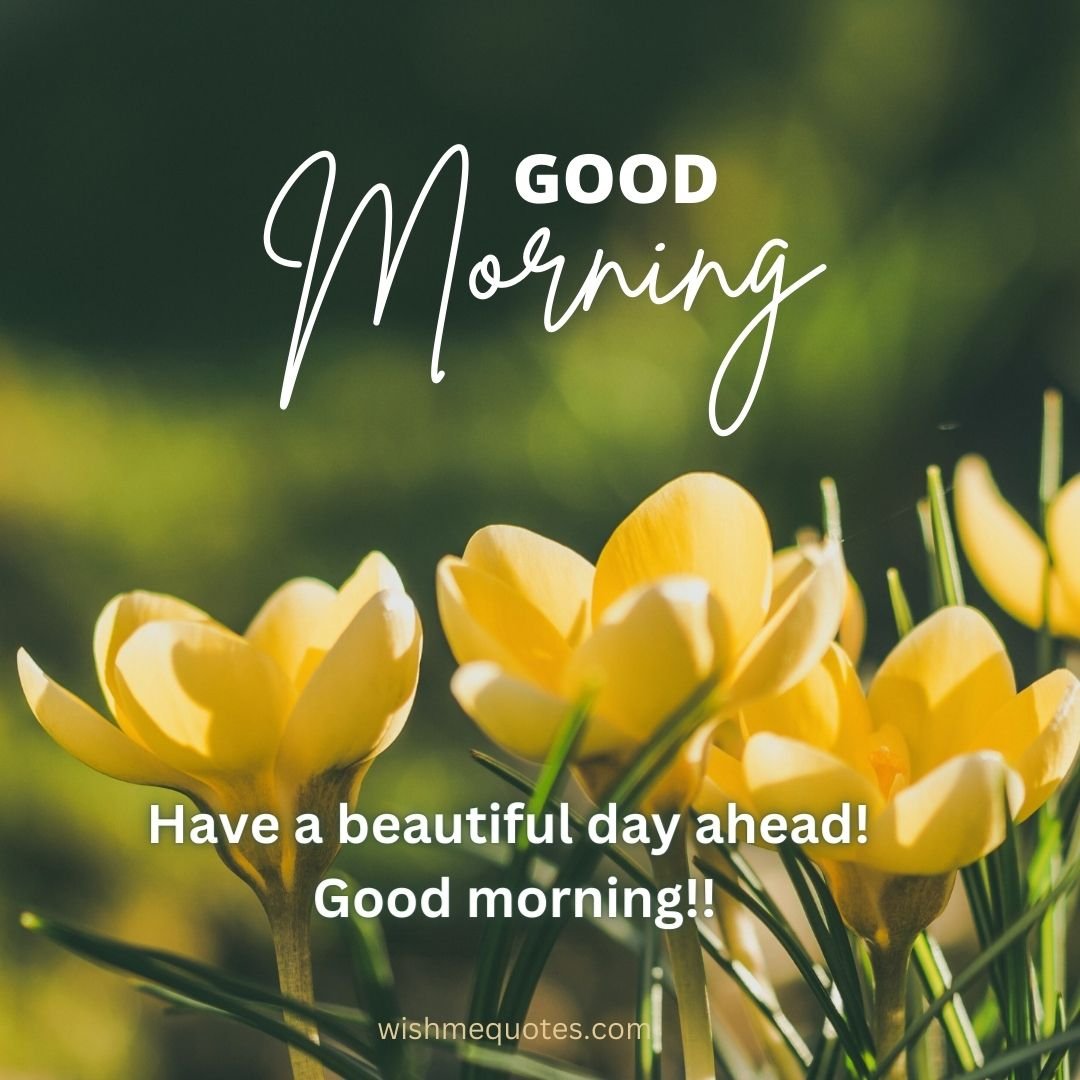Good Morning Quotes for whatsapp in English