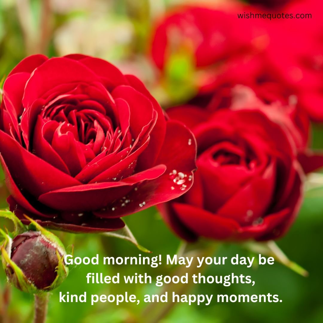 Good morning Wishes in English With Flowers