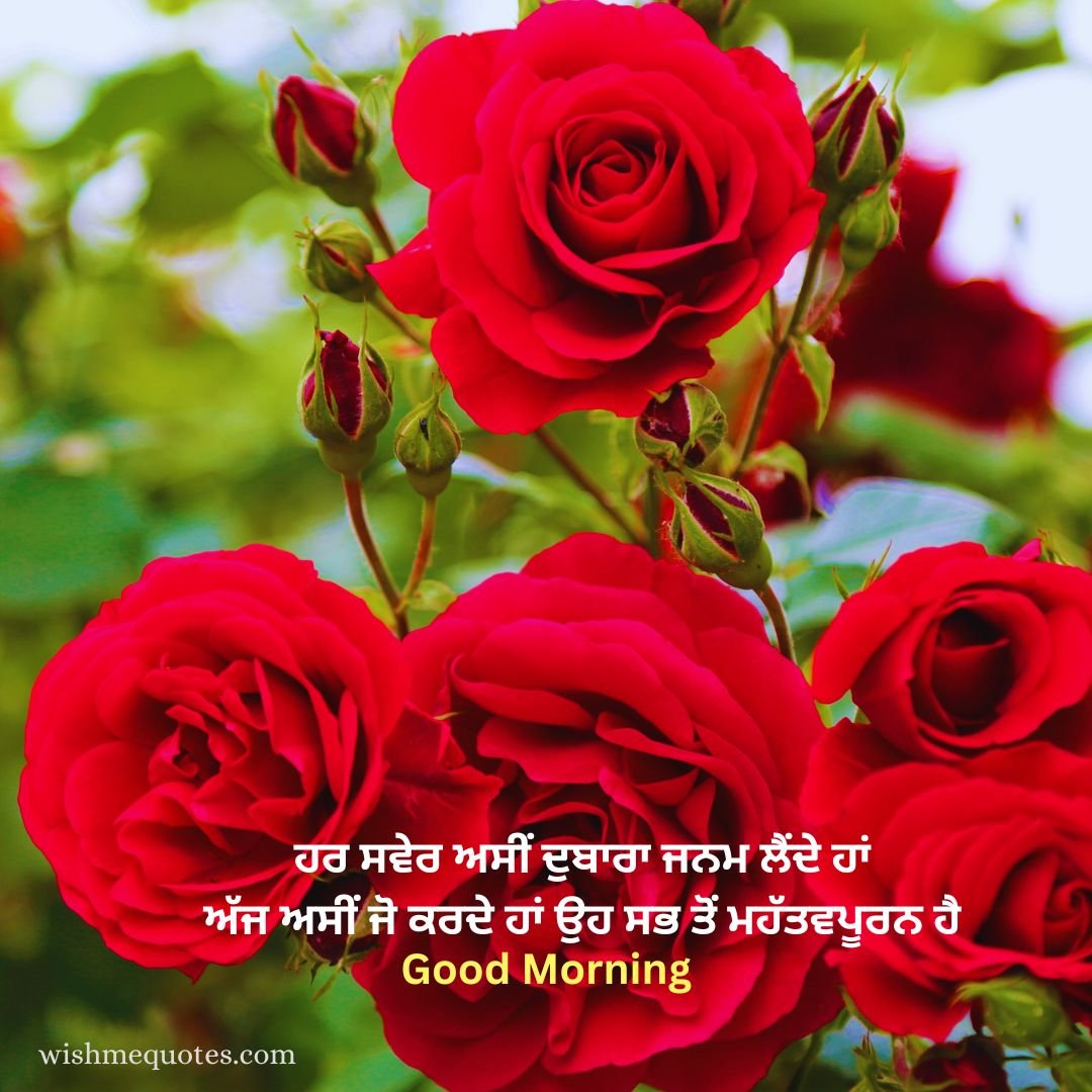 Punjabi Good Morning Quotes