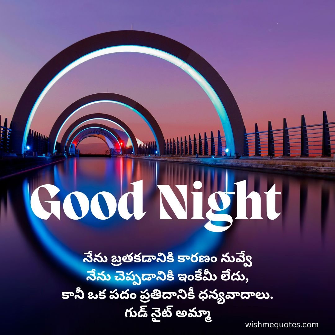 Good Night Quotes in Telugu For Mother