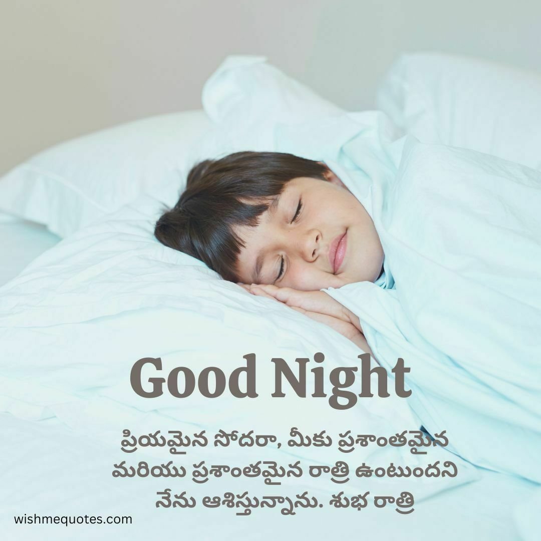 Good Night Quotes in Telugu For Brother