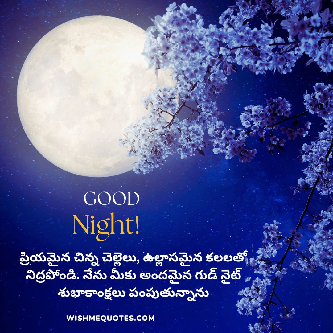 Good Night Wishes for Sister in Telugu