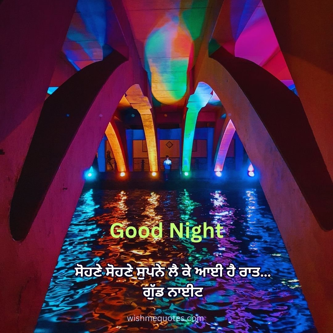 Good Night Quotes In Punjabi