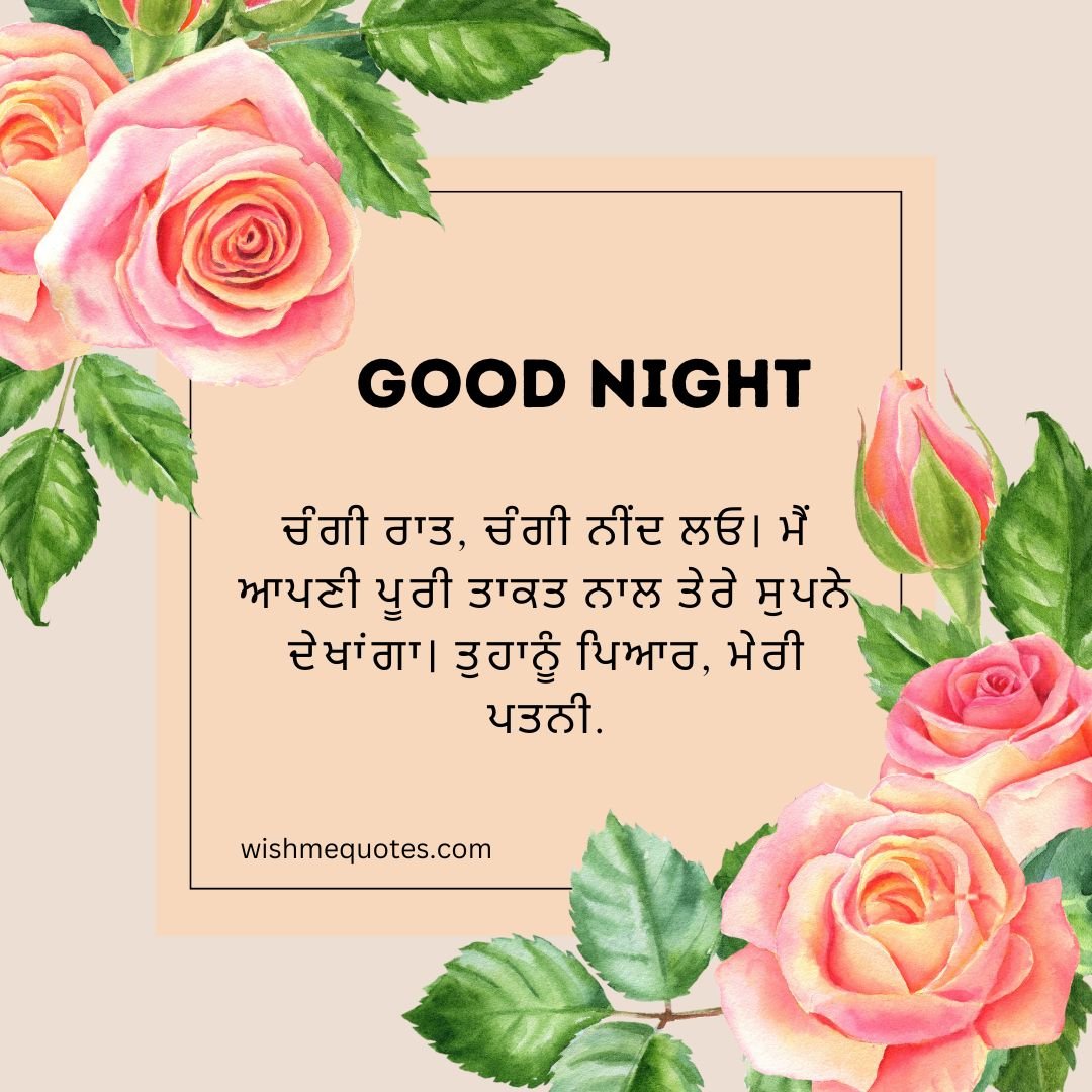 Good Night Quotes For Wife in Punjabi