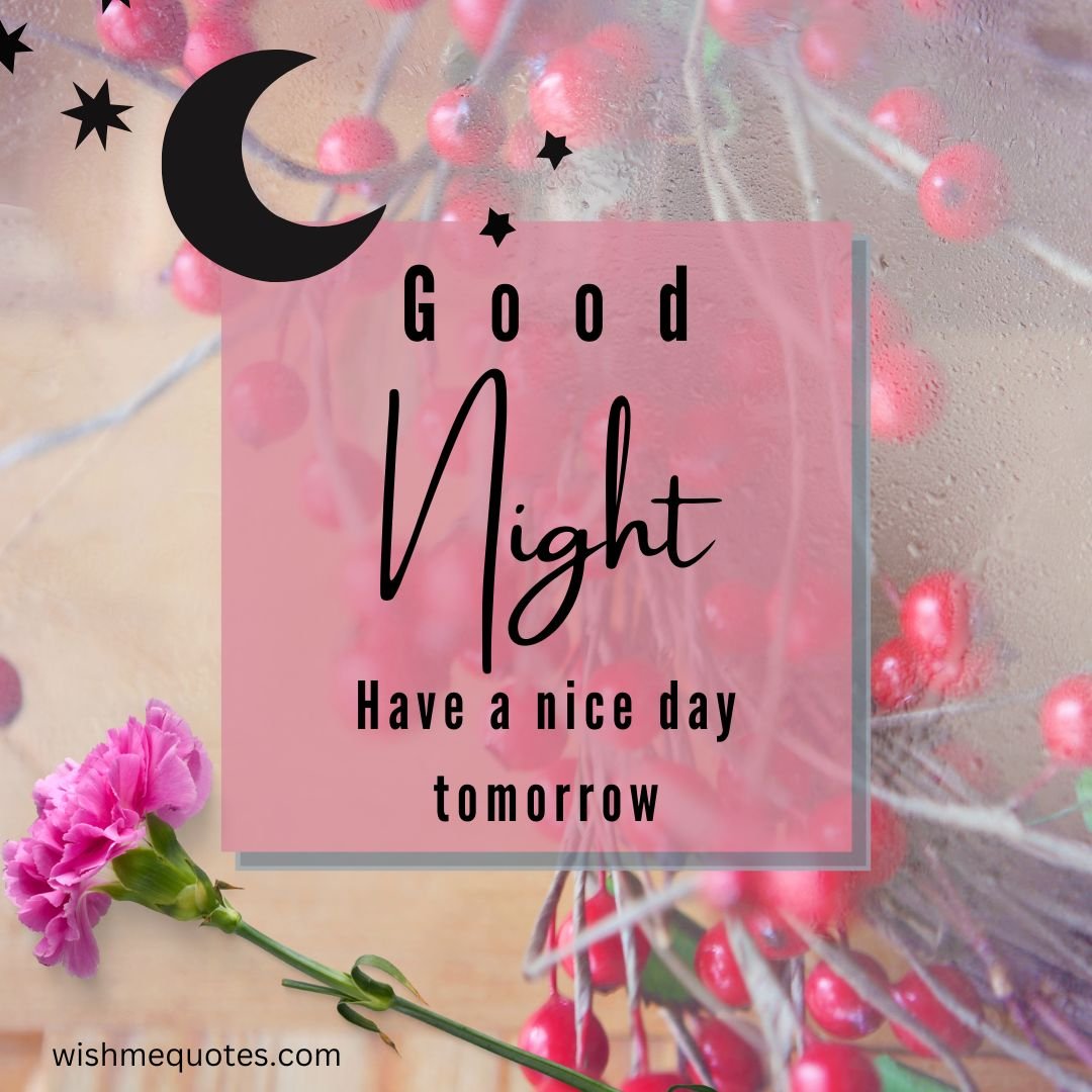 Good Night Quotes In Rajasthani 