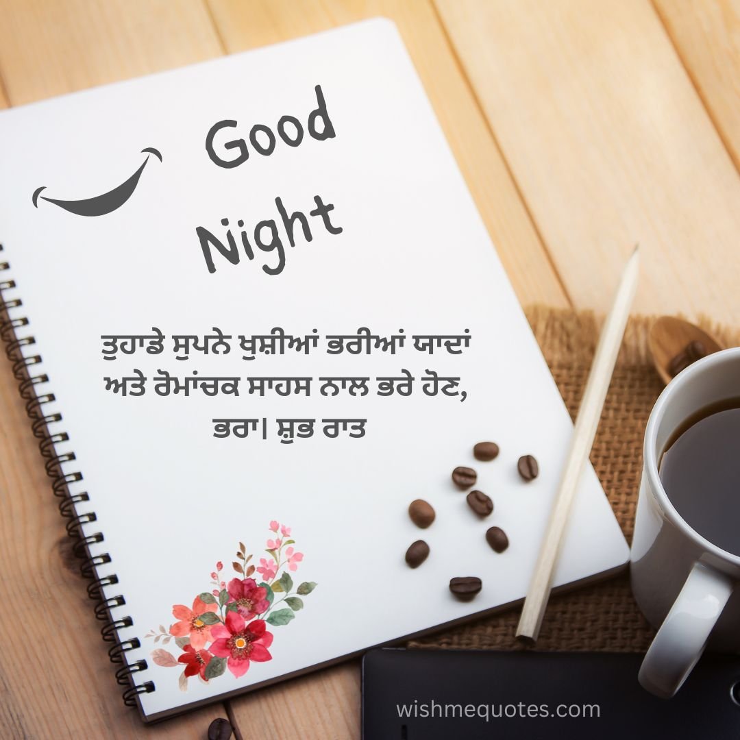 Good Night Wishes For Brother in Punjabi
