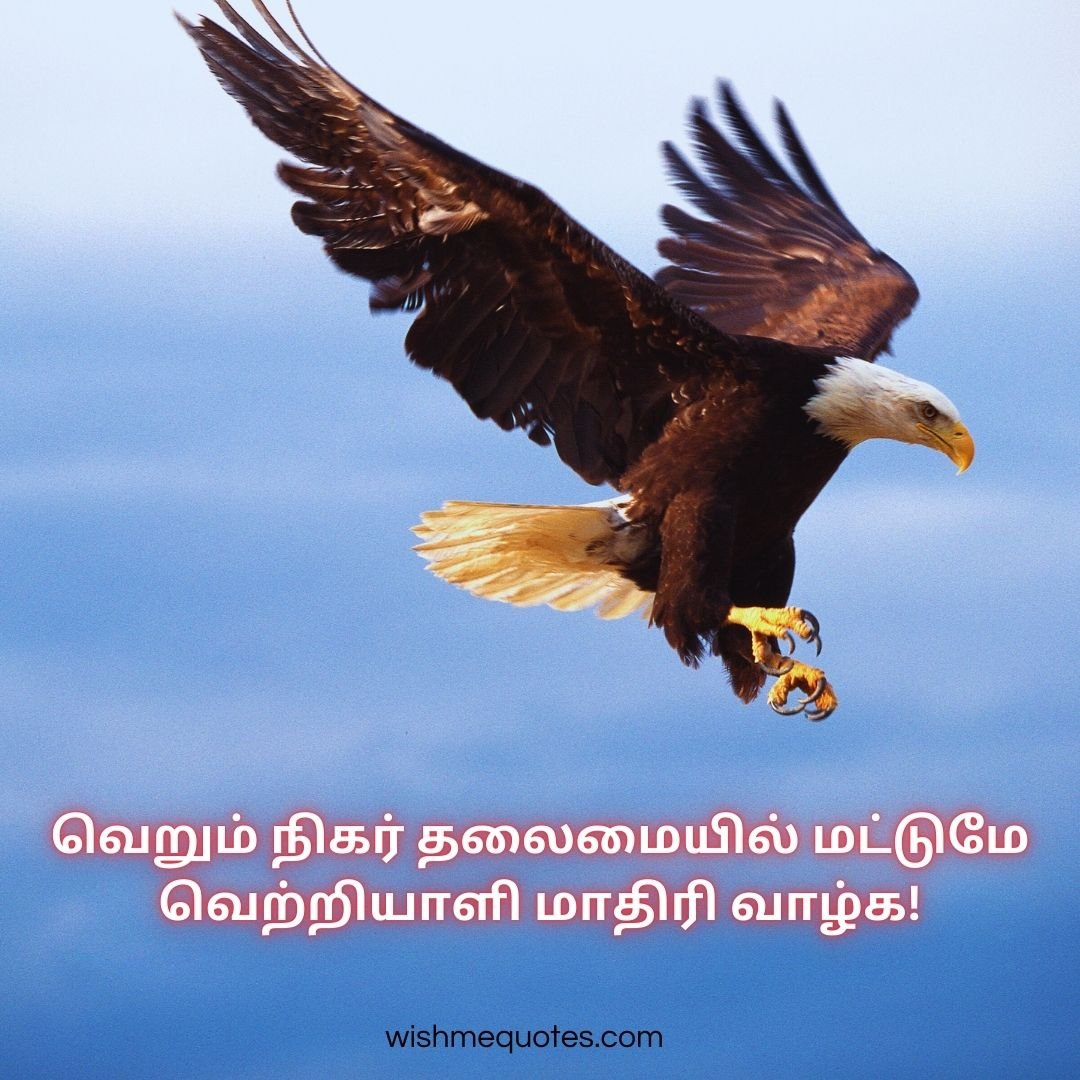 about life quotes in tamil 