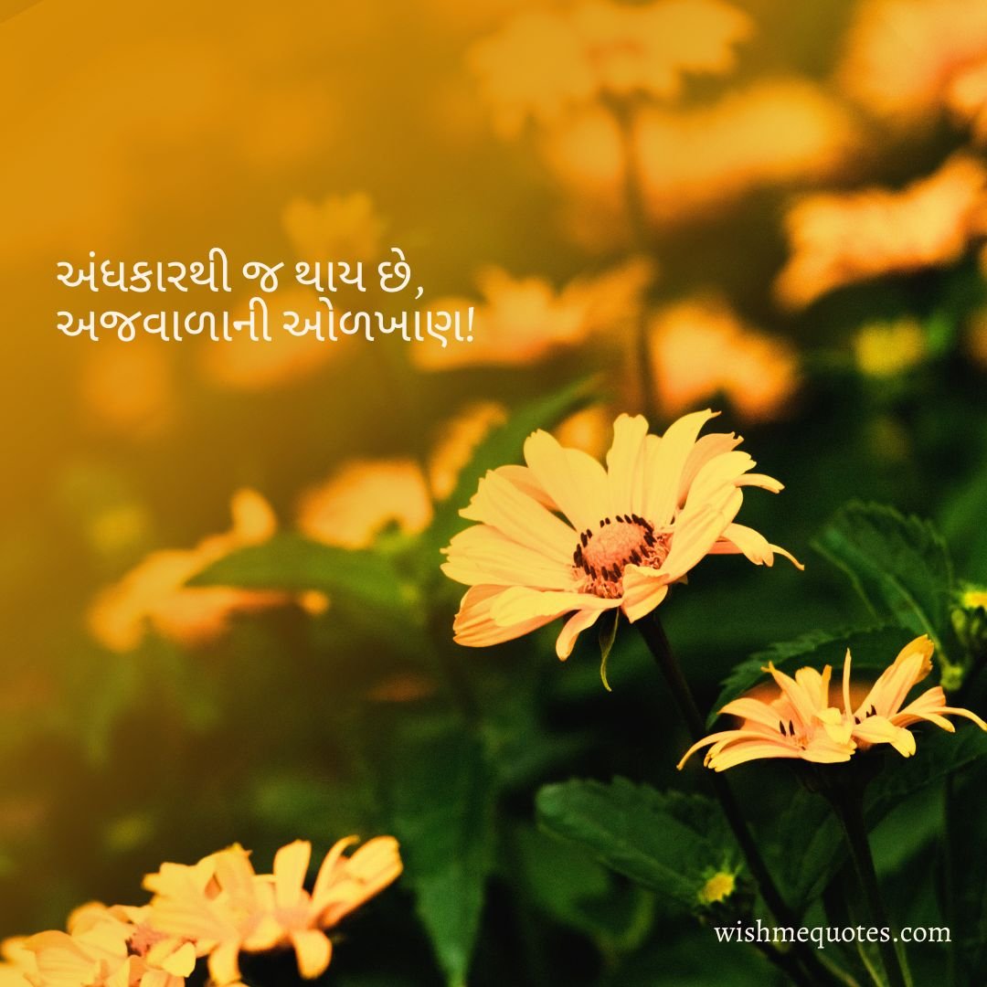 Life Quotes In Gujarati Language