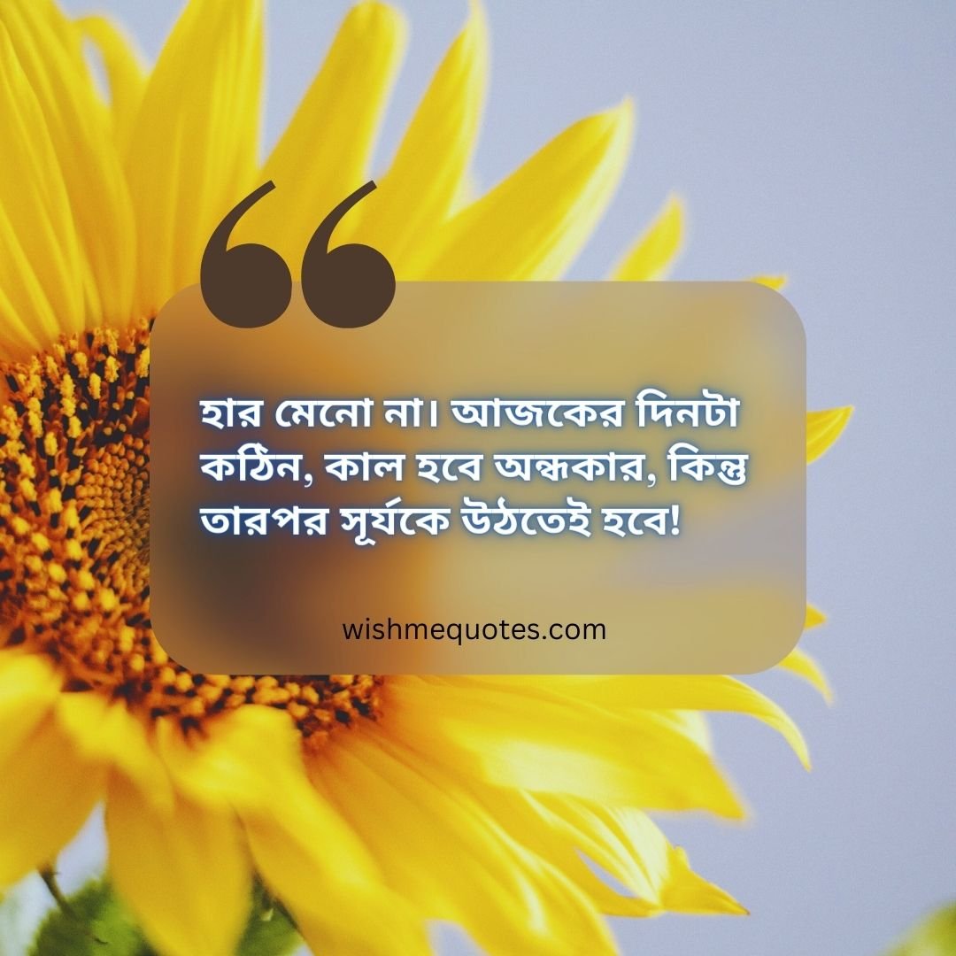 Life Quotes In Bengali Images