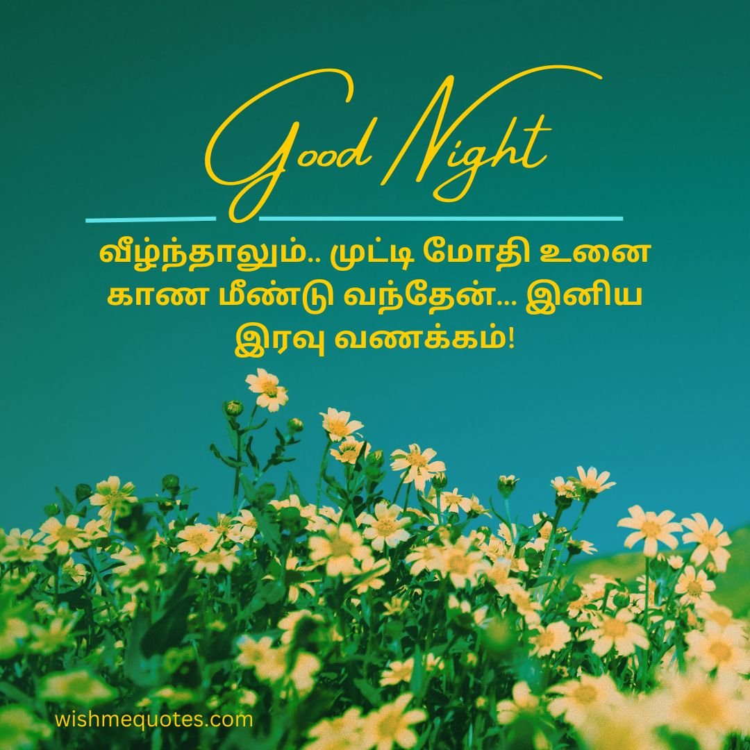 Good Night Quotes In Tamil With Wonderful Words 